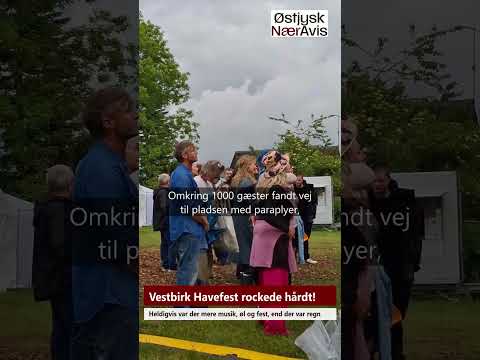 Preview image for the video "Vestbirk Havefest trodsede regnen".
