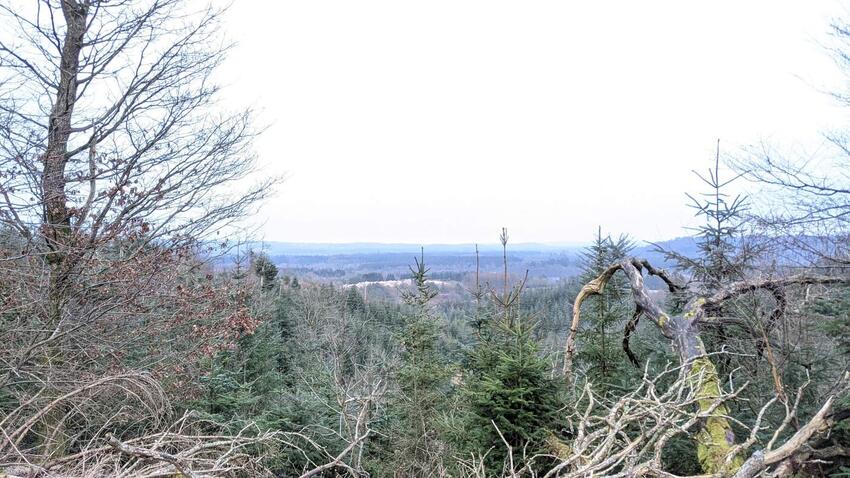 Debat: Er der bjerge i Sdr. Vissing?