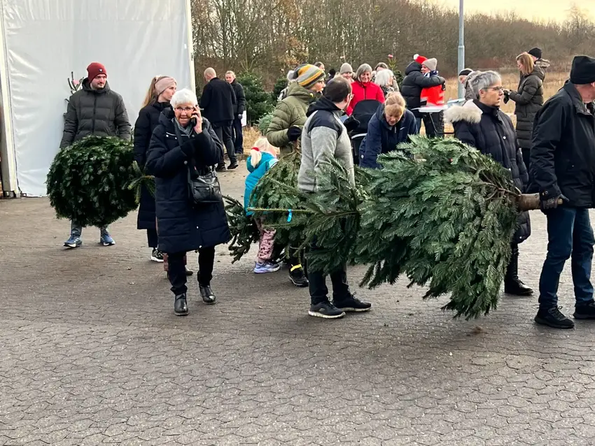 Folk som bærer juletræer