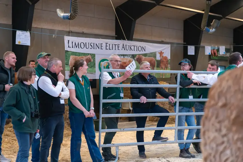 Auktion Bygholm Landbrugsskole