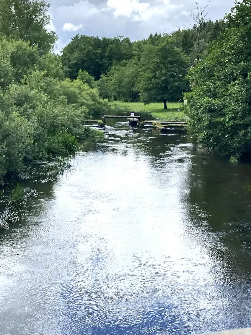 Gudenå fra Øst Bredvadmøllevej