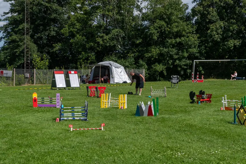 Kaninhop stævne i Gedved