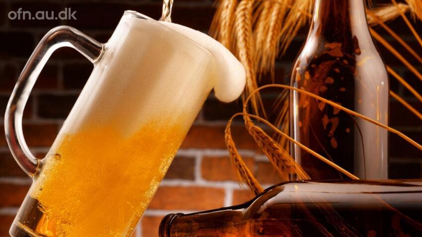 Livestreaming fra Aarhus Universitet: Smagen af øl