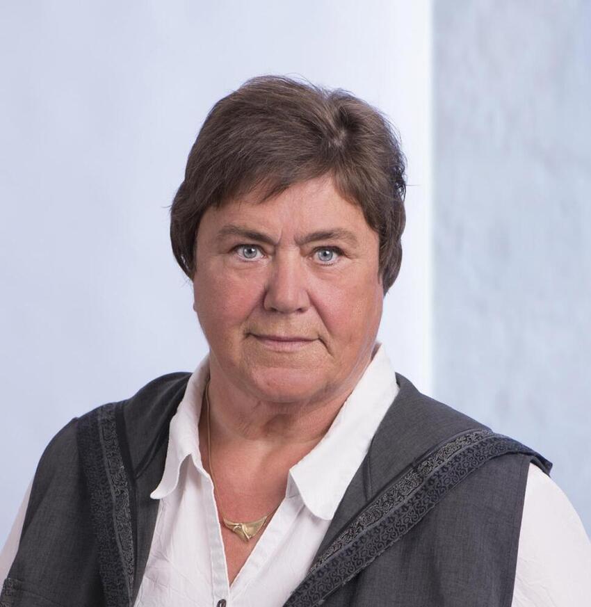 Kulturpulje til Mellembyerne