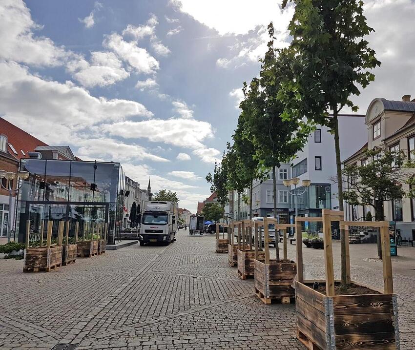 Midlertidig træallé rykker ind på Søndergade i Horsens