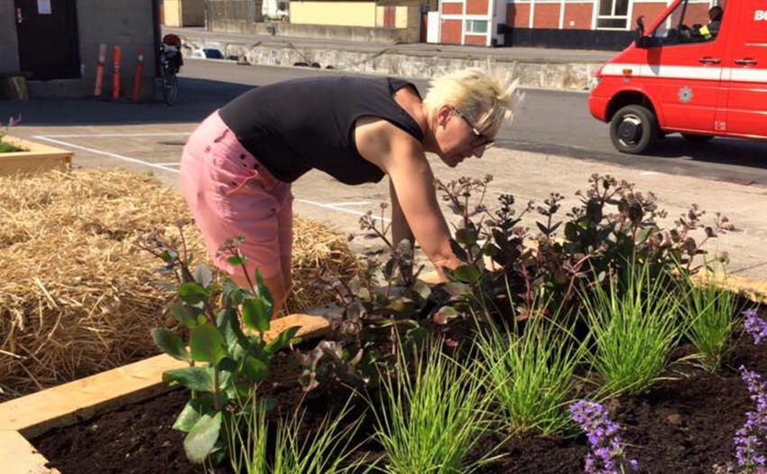 Tilskud til grønne byrum og friluftsprojekter