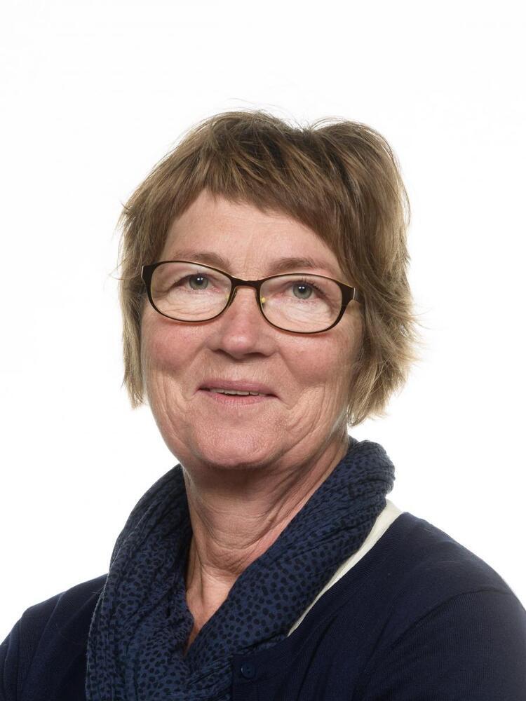 25-års jubilæum på Vestbirk Friskole