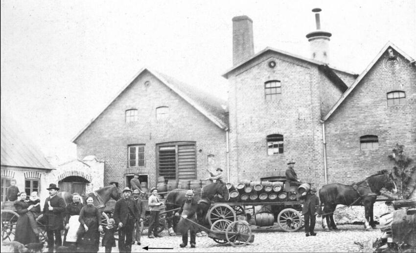 Bryggerskoven vokser op i Gedved