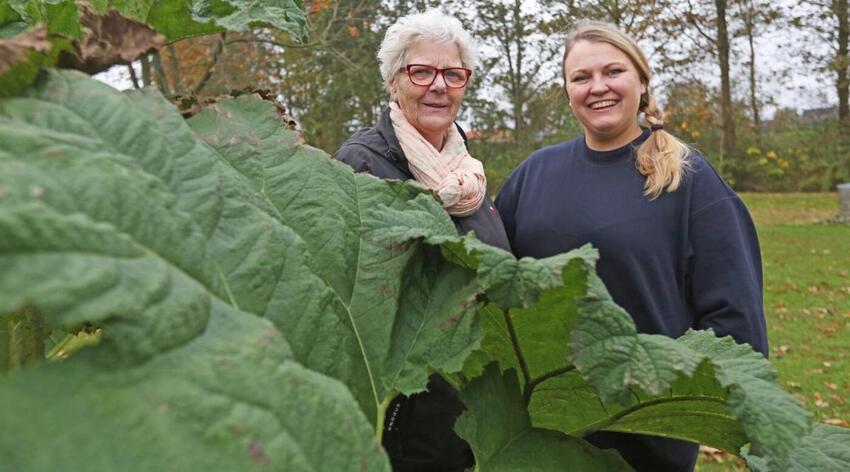 Ældre vil mere end at hækle