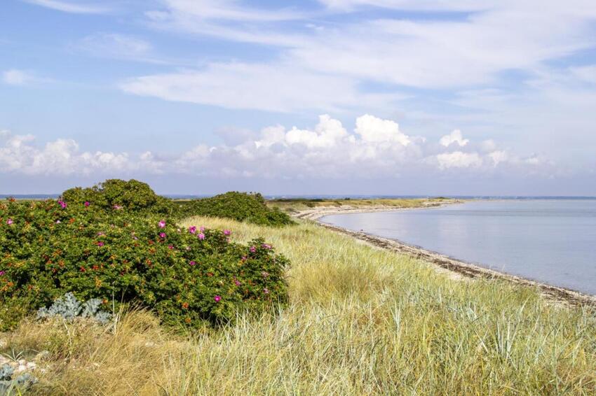 Endelave vinder prisen som ”Årets Ø 2020/2021”