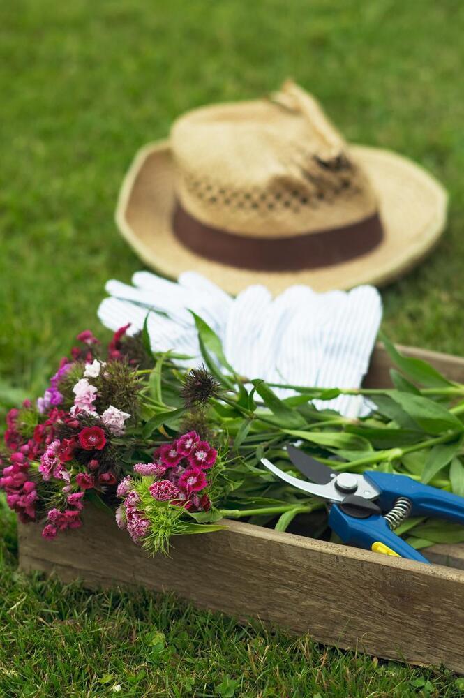 Årsmøde i ÆldreSagen Horsens Nord
