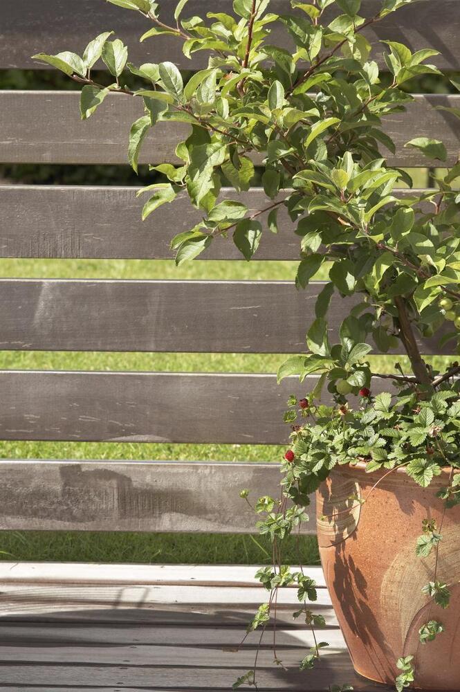 Horsens en magnet for hushandler