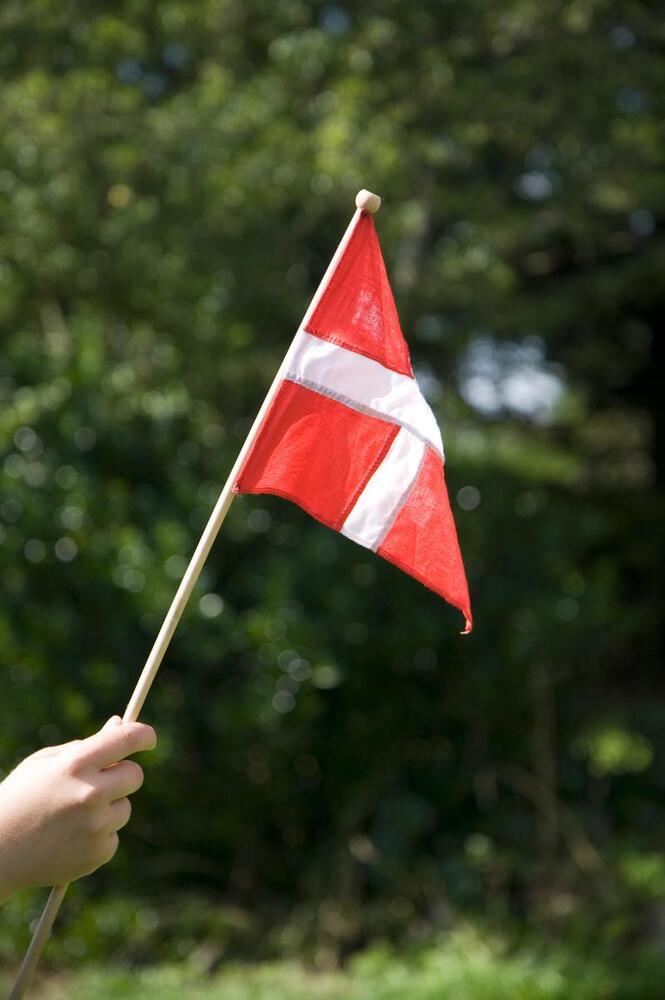 Danmark har fået en ny folkebevægelse mod EU