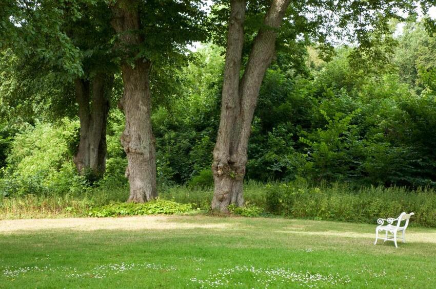 Vandrenetværket i Sund By er startet igen – kom og vær med!