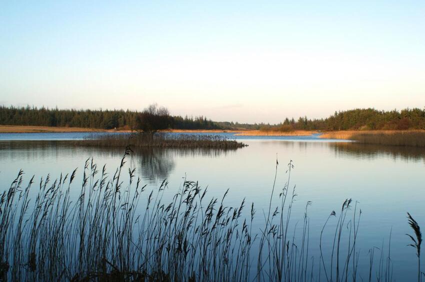 Man bor godt i Gedved