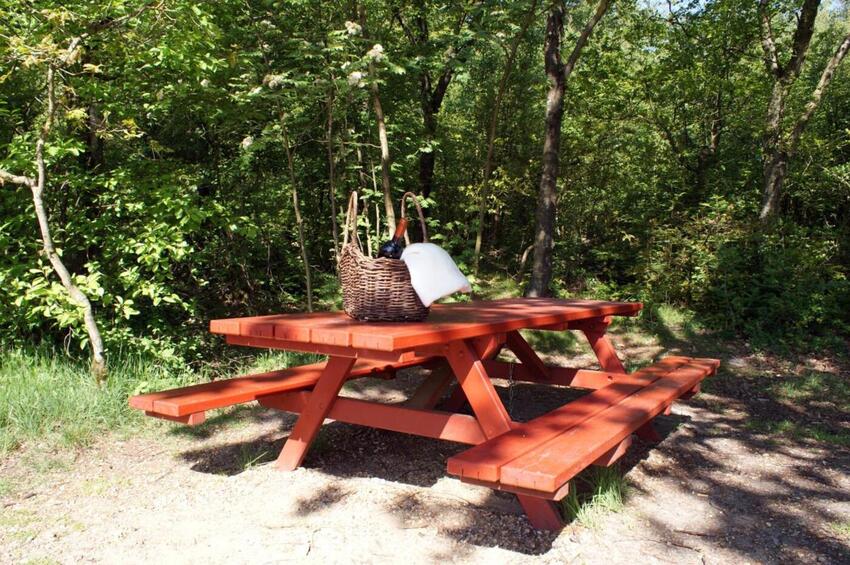 Strikkedamerne tager på udflugt