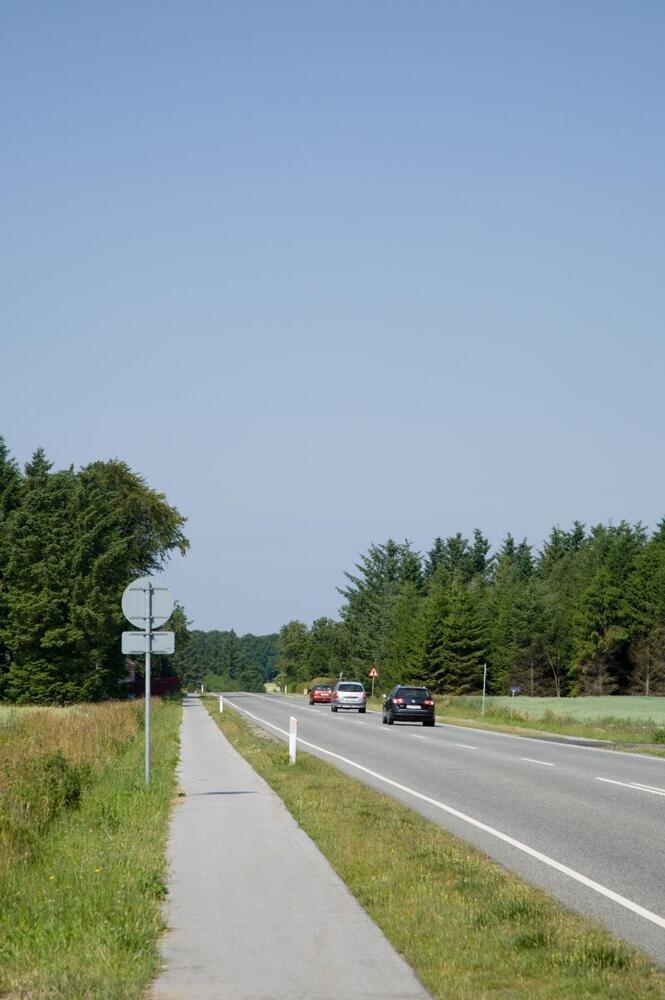 Stærekasser skal erstatte en række af politiets fotovogne