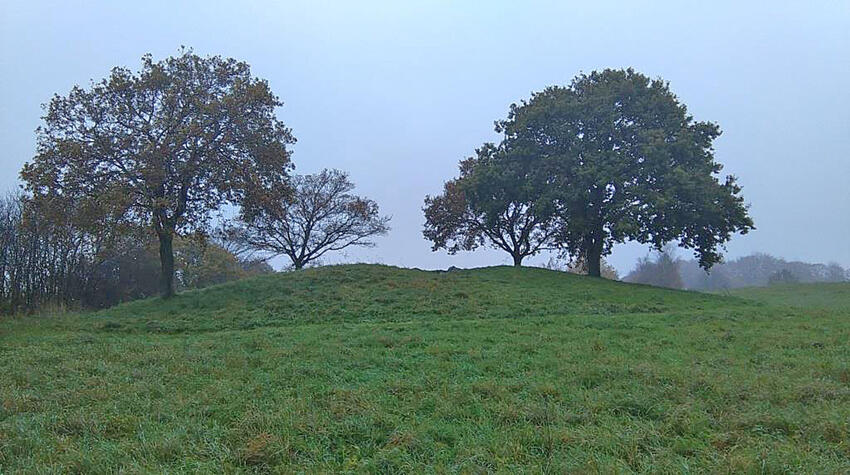 Fortidsmindedag i Horsens