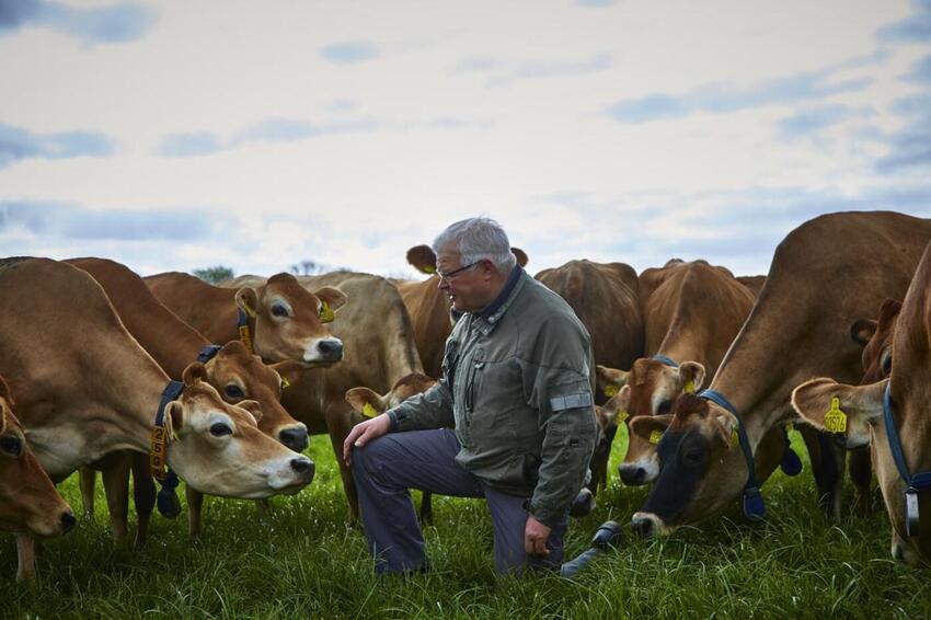 Bjergbonden i Ejer fylder 70
