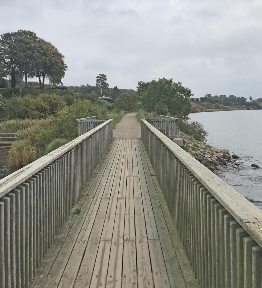 Borgerne inviteres til møde om fremtidens Husoddesti