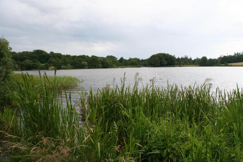 Skal Vestbirksøerne bare bevares?