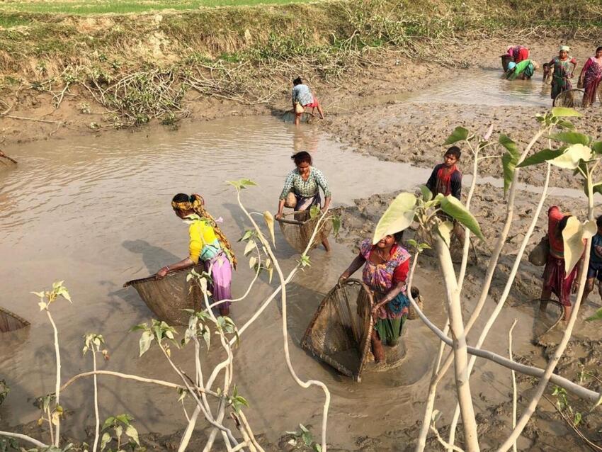 Østbirk og Yding Sogne samler ind til Folkekirkens Nødhjælp 