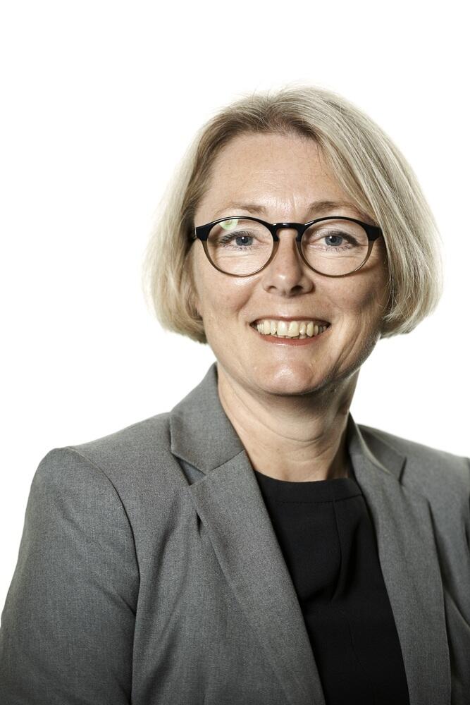 Skatteministeriet vildleder om håndværkerfradraget