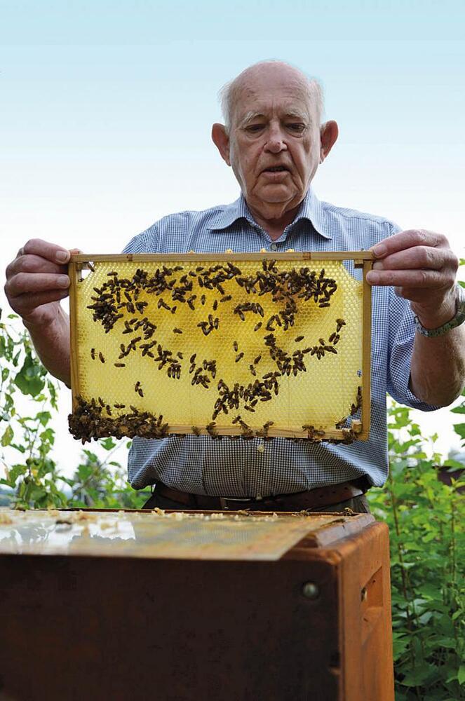 Bier - nødvendige og lærenemme