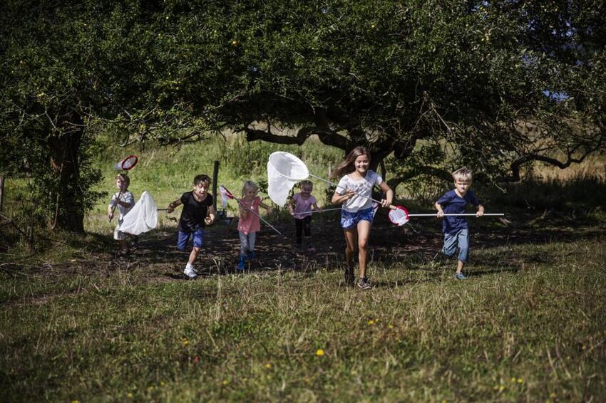 Naturens Dag: 188.000 børn skal ud i naturen