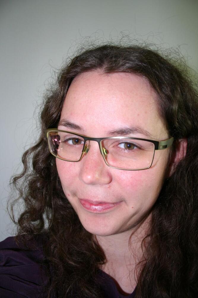 Bevar rådhuset i Horsens