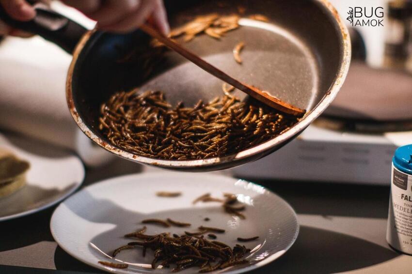 Er insekter fremtidens mad?