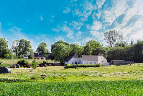 Stadig svært at låne til boligkøb i landdistrikter