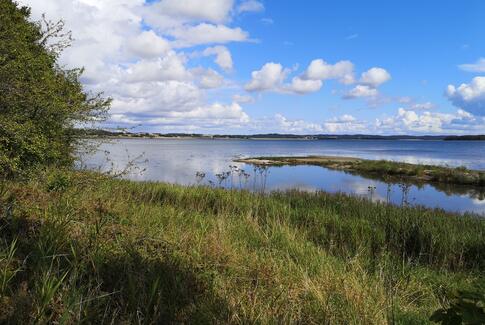 480 tons sten bliver lagt ud i Horsens Fjord