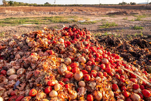 Biogas-udvidelse kan smadre vores unikke landsbyperle