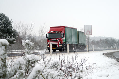 Vognmand og ansat søn sigtet for snyd med førerkort