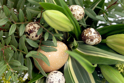 Påskeæg til alle børn i Hovedgård