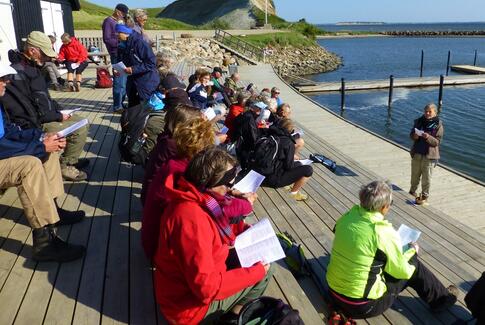 Coronavandringer på Limfjordsøen Mors. - Det er helt gratis!