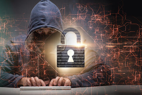 Sådan undgår du at blive snydt på nettet