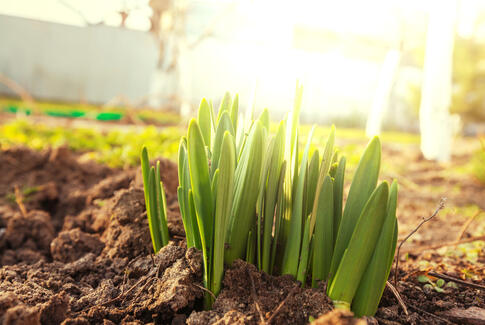 Debat: Vigtigt at tage ansvar