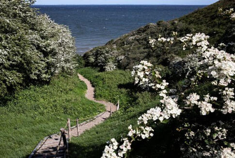 Landdistriktspuljens ansøgningsfrist forlænges
