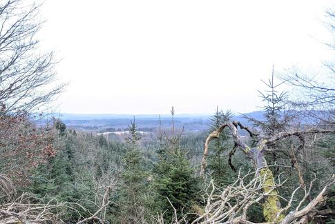 Debat: Er der bjerge i Sdr. Vissing?