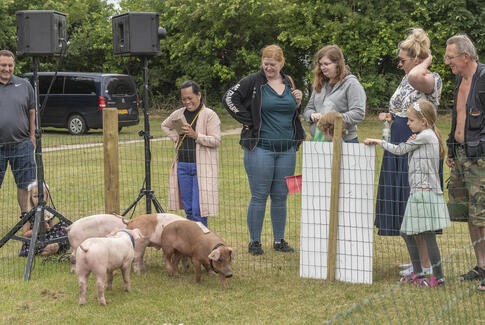 Horsens Dyrskue &amp; Madmarked aflyses i år