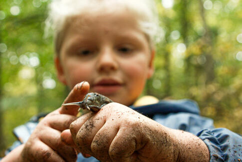 Få en vild oplevelse sammen