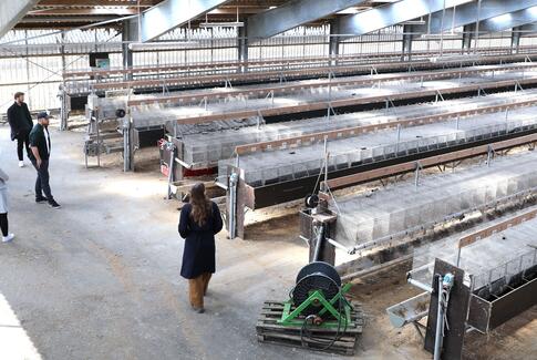 Universitetsstuderende skal skabe nye forretningsmuligheder for minkbranchen