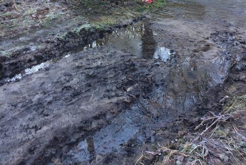 Debat: Hvor mange underskrifter skal vi samle, for at blive hørt?