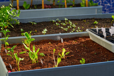 ÆldreSagen Horsens Nord inviterer til inspirationseftermiddag