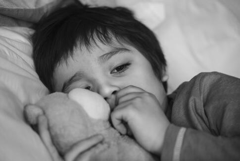 Dansk Folkehjælp forventer at sætte trist rekord