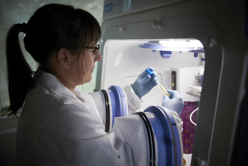 Ny forskning skal vise fremtiden for naturlig konservering af fødevarer