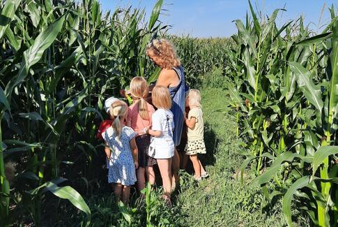 Majslabyrinten på Hattingvej åbner