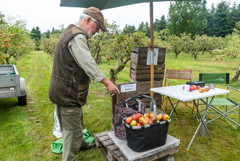 Karsten inviterer til pluk-selv i Brigsted